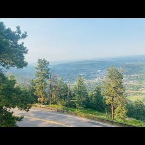 Meet your Posher, Bailey